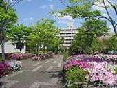ルーキー東条マンションの周辺写真