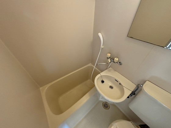 バス・シャワールーム　※別部屋の写真です