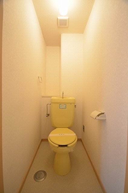 トイレ　同物件別号室のものです。