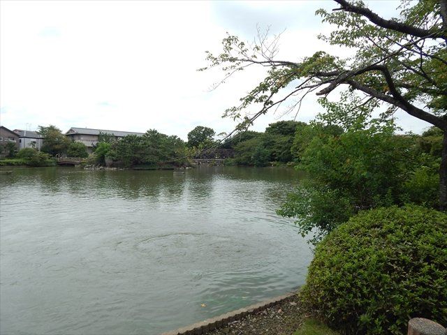 公園　大池親水公園（公園）まで368m