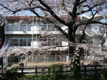 幼稚園・保育園　桐光学園みどり幼稚園（幼稚園・保育園）まで511m