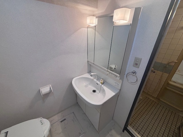 洗面設備　※同施工会社のイメージ写真※