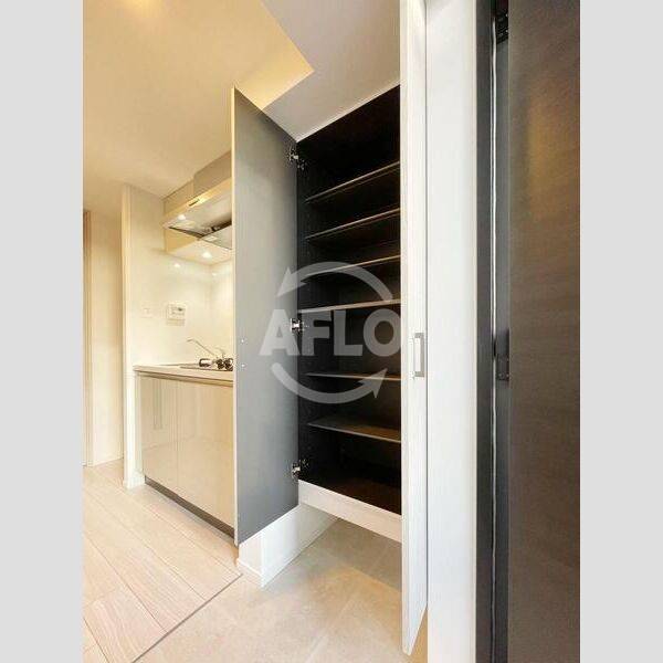 その他部屋・スペース　S-RESIDENCE上新庄ascent　シューズボックス