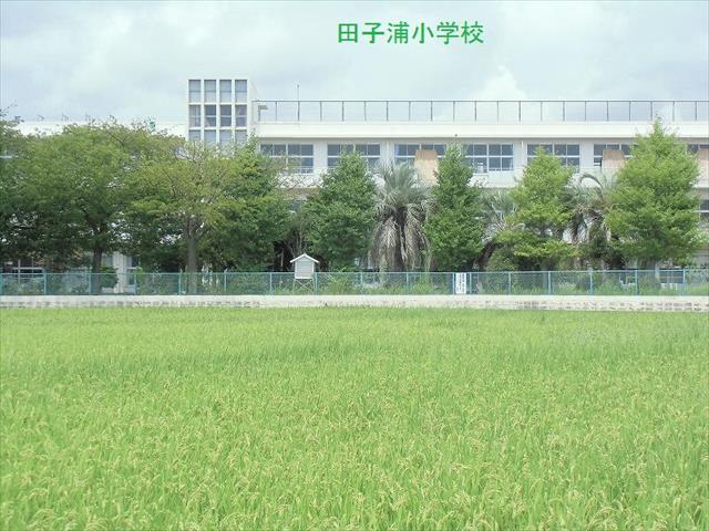 小学校　田子浦小学校（小学校）まで1505m
