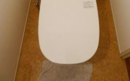 トイレ　※別部屋の参考写真です。