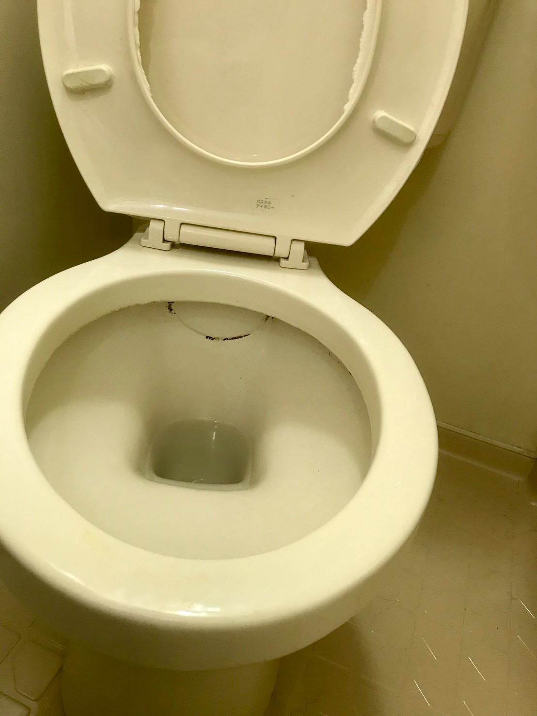 ニューシティーハイツ飯田橋のトイレ写真