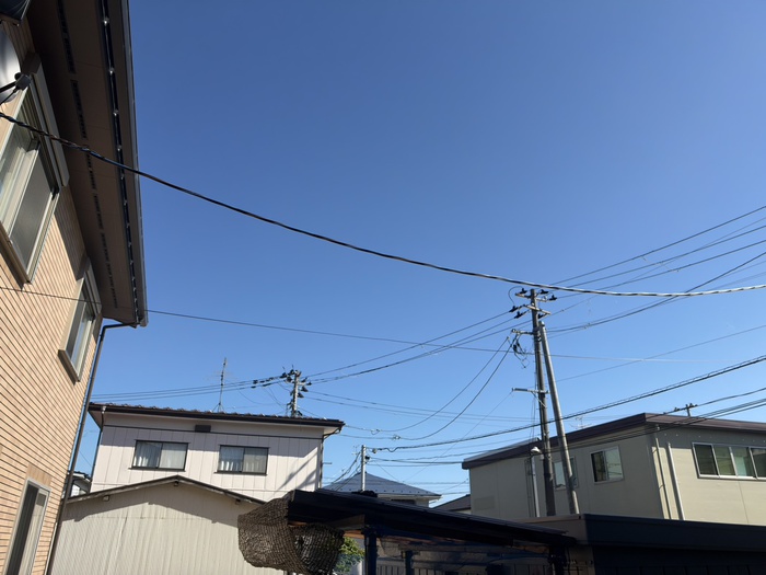 novo comecoのその他写真