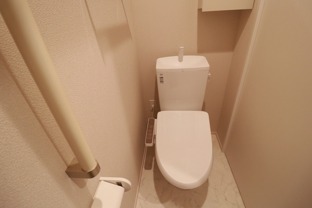 メゾン十日市のトイレ写真