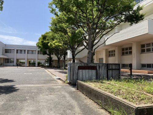 中学校　宗像市立河東中学校（中学校）まで971m