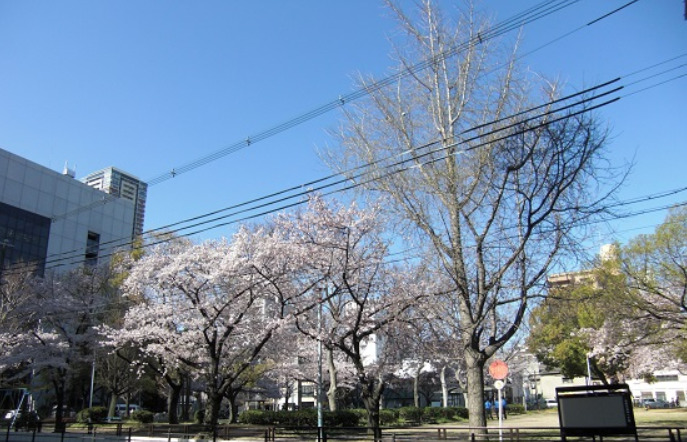 公園　大淀中公園（公園）まで654m