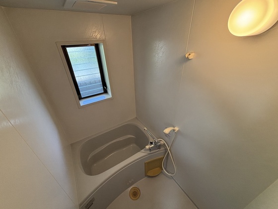 バス・シャワールーム　※別号室のお写真です