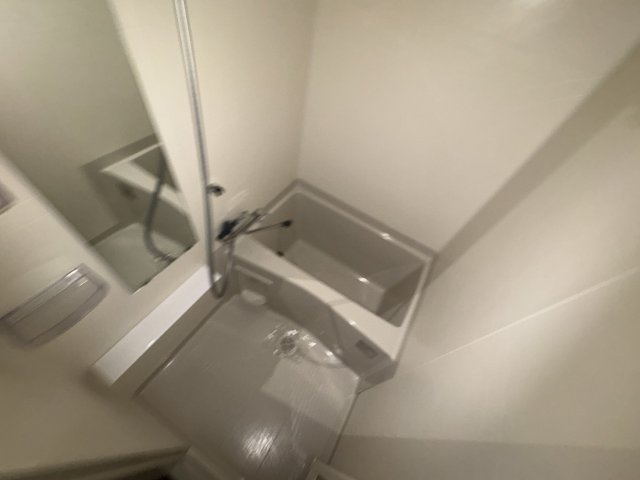 バス・シャワールーム　落ち着いた空間のお風呂です