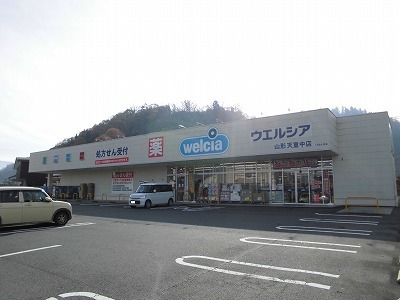 ドラックストア　ウェルシア（ドラッグストア）まで800m