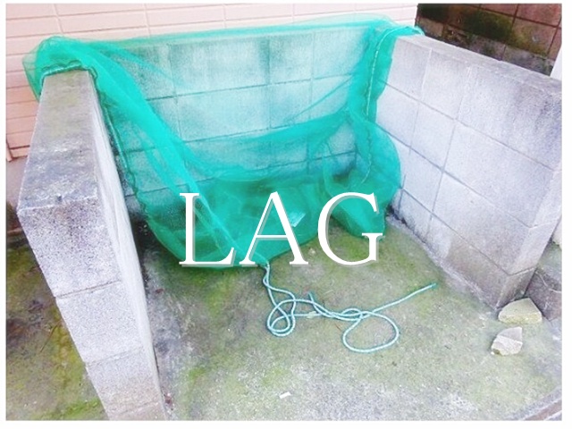 その他　ゴミ捨て場です。