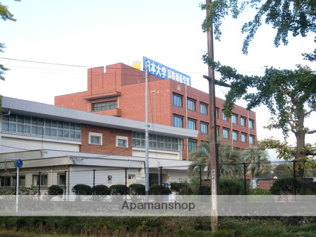 大学・短大　日本大学国際関係学部・短期大学部（大学・短大）まで598m