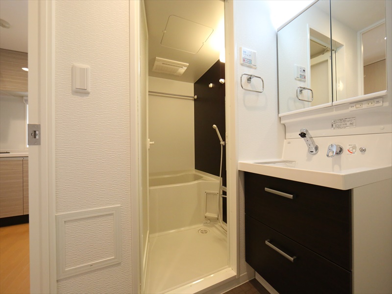 洗面設備　洗面脱衣所　シャンプードレッサー　室内洗濯機置場