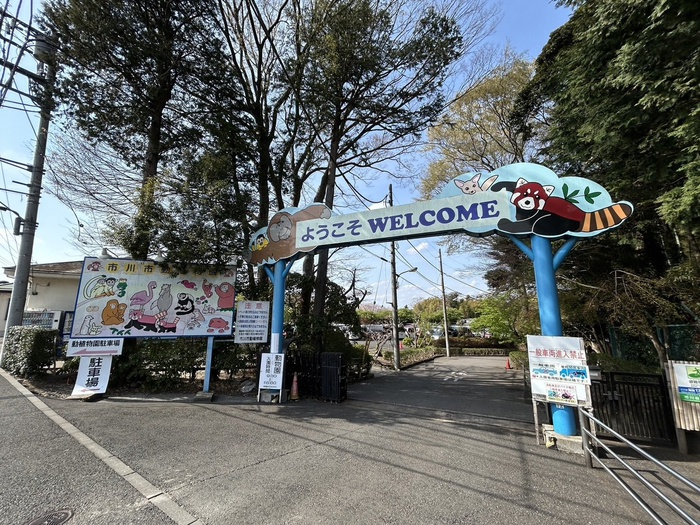 その他　市川市動植物園（その他）まで2700m
