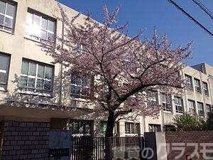 小学校　大阪市立豊里小学校（小学校）まで496m