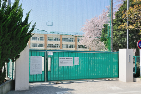 小学校　杉並区立浜田山小学校（小学校）まで698m