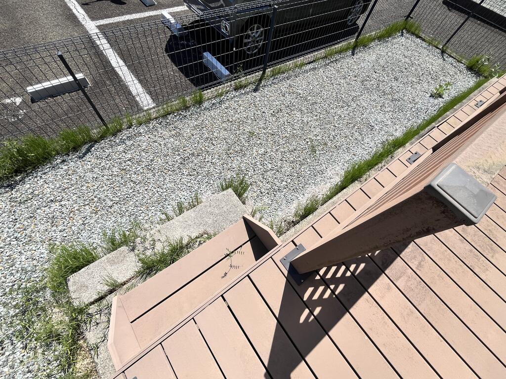 庭