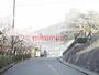 中学校　高槻市立第九中学校（中学校）まで1624m