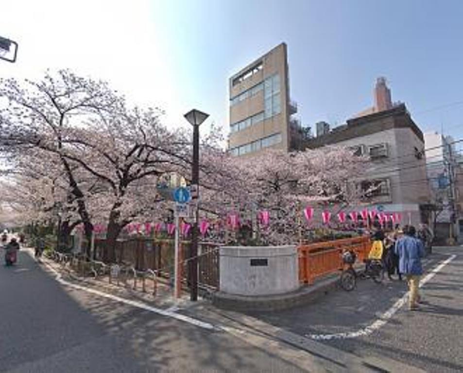 その他　目黒川（桜並木）（その他）まで911m