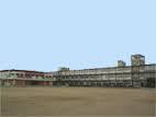 中学校　人丸小学校（中学校）まで534m