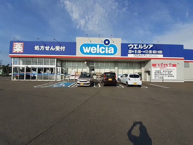 ドラックストア　ウェルシア新津さつき野店（ドラッグストア）まで1130m