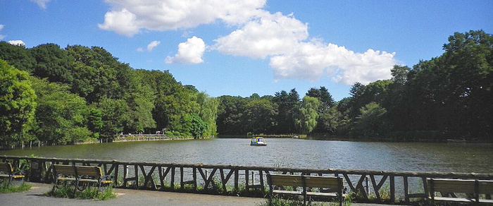 公園　善福寺公園（公園）まで450m