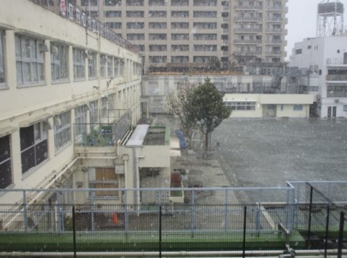 小学校　世田谷区立塚戸小学校（小学校）まで989m