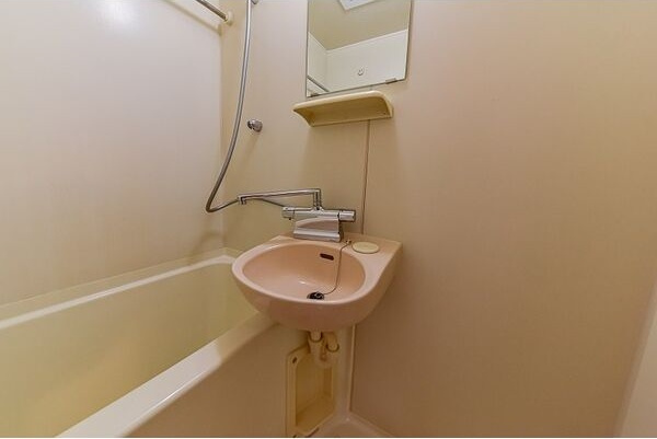 バス・シャワールーム　※写真は同じマンションの違う部屋のものになります。