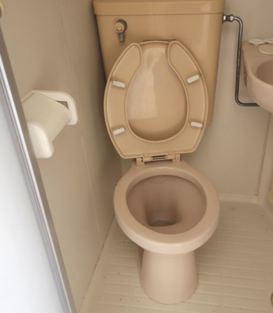 シャルマンフジ行田壱番館のトイレ写真