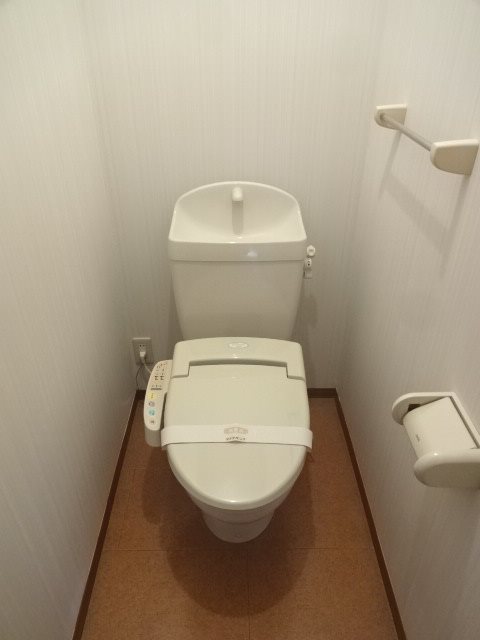 メゾン・パストラール Bのトイレ写真