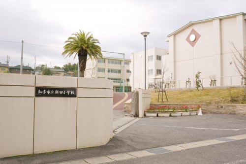 小学校　知多市立新田小学校（小学校）まで1105m