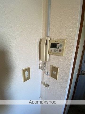 グレースコアのその他写真