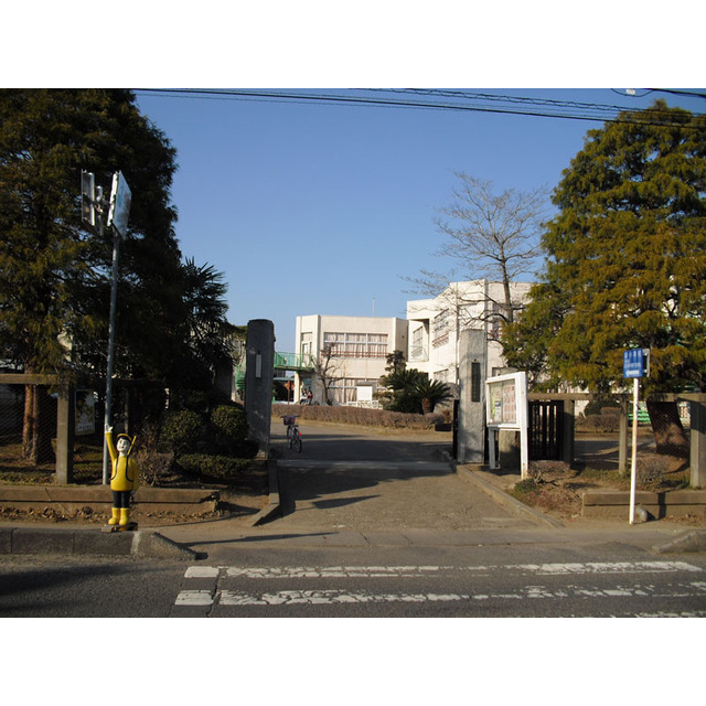 小学校　つくば市立栄小学校（小学校）まで550m