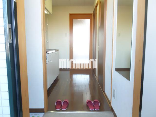 居室・リビング　玄関からの眺めです。