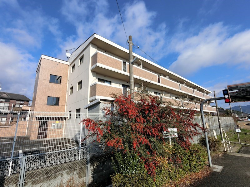 ブルースカイ土井