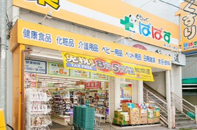 ドラックストア　どらっぐぱぱす新江戸川橋店（ドラッグストア）まで654m