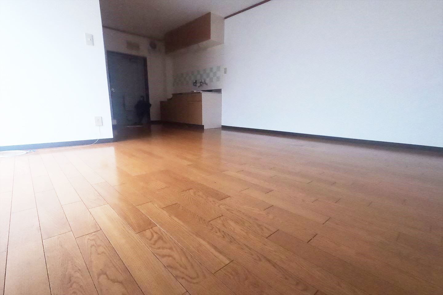 居室・リビング　洋室11帖