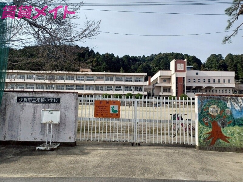小学校　伊賀市立柘植小学校（小学校）まで1169m