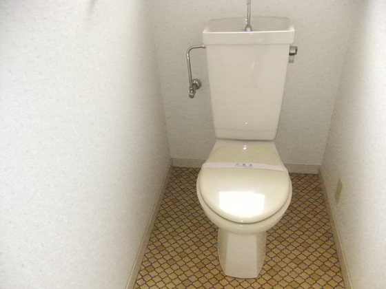 トイレ　※別号室の写真です