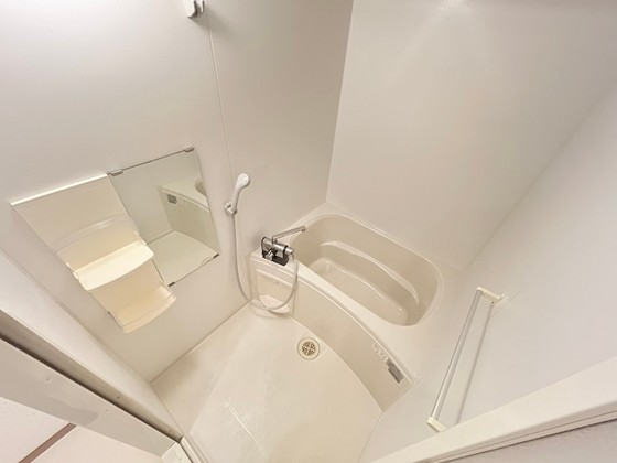 バス・シャワールーム　※別部屋の写真です