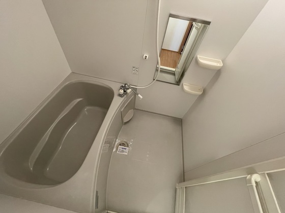 バス・シャワールーム　※別部屋の写真です