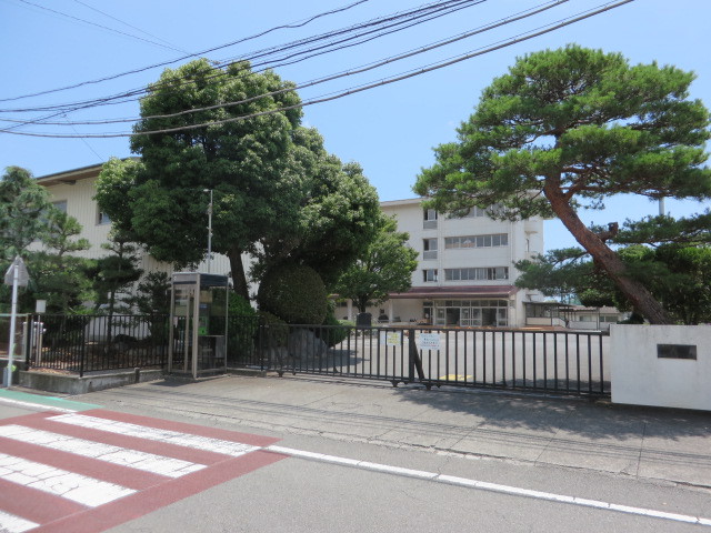 小学校　青島東小学校（小学校）まで491m