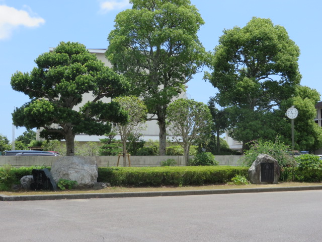 中学校　青島北中学校（中学校）まで1176m