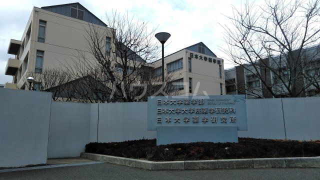 大学・短大　日本大学薬学部 船橋キャンパス（大学・短大）まで537m