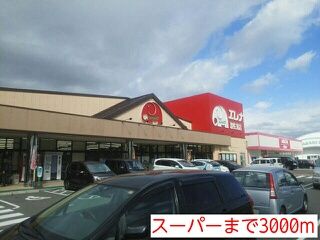 スーパー　スーパー（スーパー）まで3000m