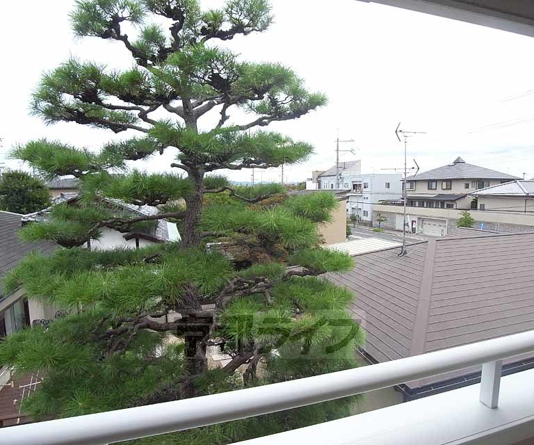 眺望　室外風景です