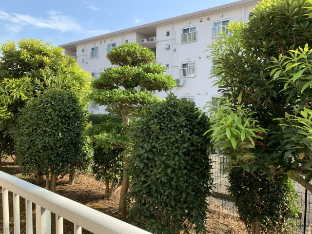 眺望　※同建物別部屋参考画像（107号室）